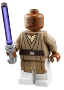 Windu-2013.jpg (168 КБ)