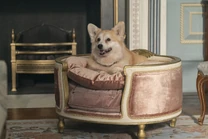 3x05-23.jpg (6.17 MB)