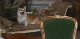 2x02Newton.jpg (213 KB) Off to the Races