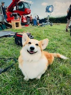 2x08-EB07.jpg (529 kB)