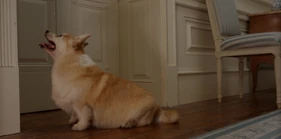 3x01Newton.jpg (221 KB) Out of the Shadows