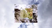 Bridgit Mendler Diving Ss