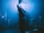 Nemesis Tour
