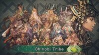 Shinobi Tribe Battle Theme Brigandine The Legend of Runersia