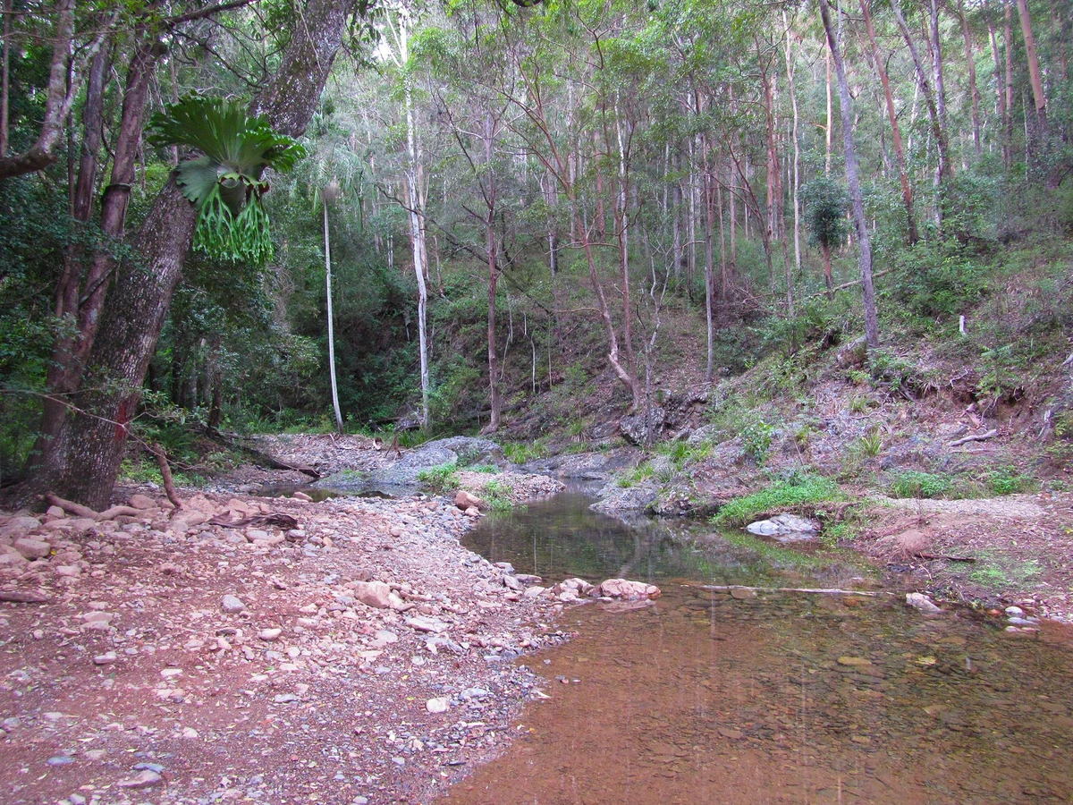 England Creek Brisbane Wiki Fandom
