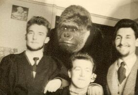 Alfred the Gorilla | Bristol Wiki | Fandom