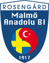 Malmö Anadolu