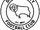 Derby County