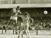 Devon white