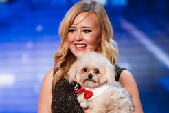 Lucy heath dog training discount