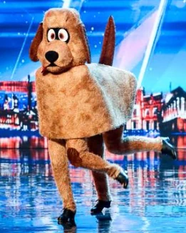 bgt dancing dog