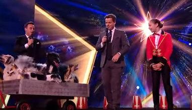Alexa Lauenburger | Britain&rsquo;s Got Talent Wiki | Fandom