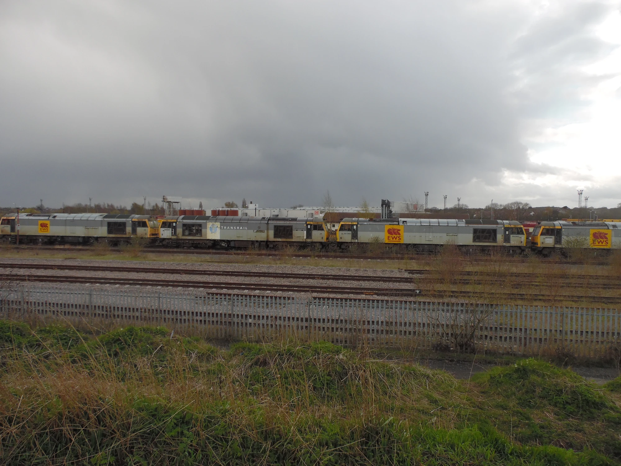 Class 60 British Rail Locomotives Wiki Fandom