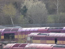 Class 60 British Rail Locomotives Wiki Fandom