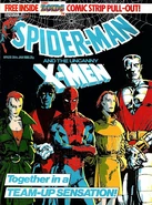 Spider-Man Vol 1 620