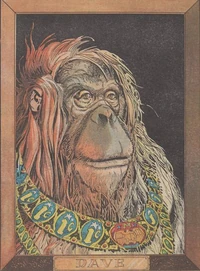 Dave the Orangutan