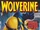 Wolverine Annual Vol 1 2