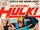 Incredible Hulk Vol 1 24