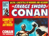 Savage Sword of Conan Vol 2 19
