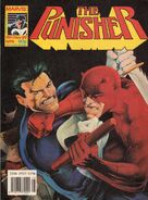 Punisher15.jpg (138 KB)