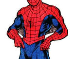 Spider-Man (Peter Parker)