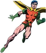 Robin1.jpg (9 KB) Robin, the Boy Wonder