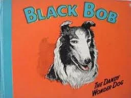 black bob sheepdog