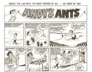 Andy's Ants