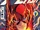 DC Super Heroes:The Flash Vol 1 1