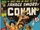 Savage Sword of Conan Vol 1 13