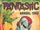 Fantastic Annual Vol 1 2