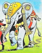 Bella of Bonnybanks School