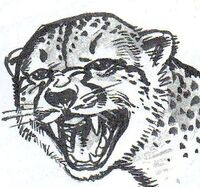 Sleekswift the Cheetah
