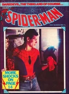 Spider-Man Vol 1 627