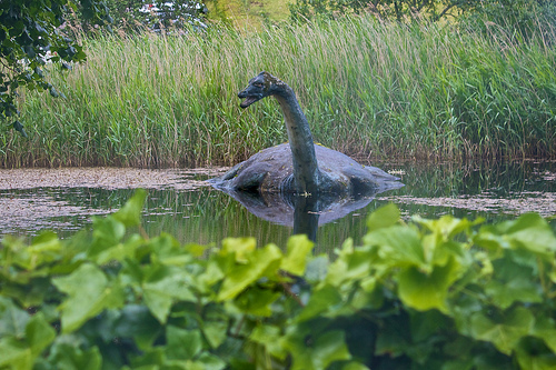 Loch Ness monster search party uses new tools to look for an old cryptid