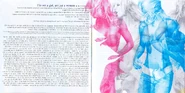 Britney Booklet 4.jpg (404 KB)