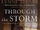 Through the Storm: A Real Story of Fame and Family in a Tabloid World