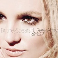 If U Seek Amy The Remixes