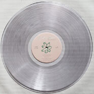 BOMT Clear Vinyl
