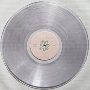 BOMT Clear Vinyl