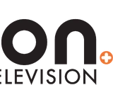 ION Television