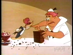 The Woody Woodpecker Show (1987) | Broadcast Syndication Wiki | Fandom