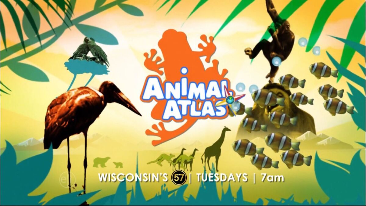 Animal Atlas Broadcast Syndication Wiki Fandom