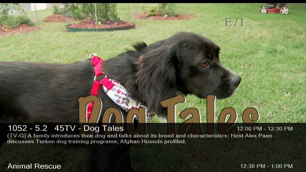Dog Tales | Broadcast Syndication Wiki | Fandom