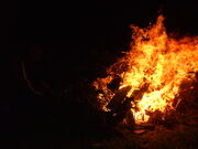 DSCF0460.jpg