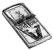 A primitive pressure plate, not native to the Dungeons of Doom.