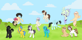 Ponies