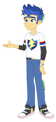 Flash Sentry
