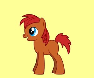 Tumble Step Pony