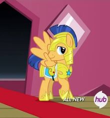 Flash sentry en 3 son multitud.jpg